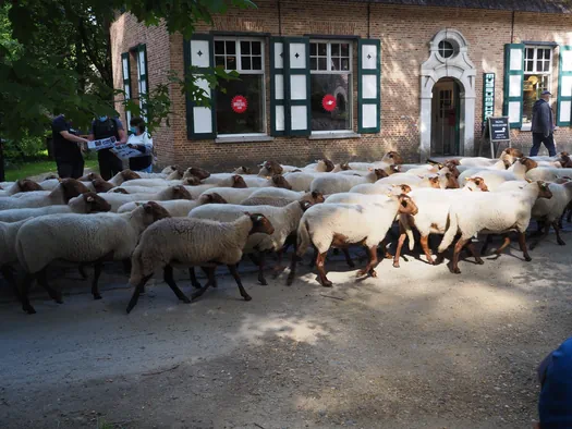 Openluchtmuseum Bokrijk (België)